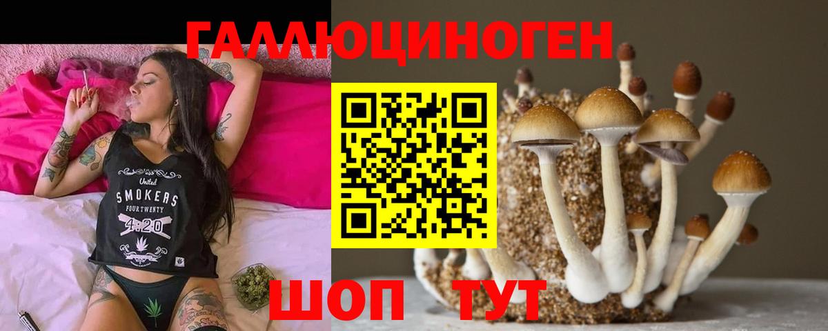 Галлюциногенные грибы MAGIC MUSHROOMS Россошь